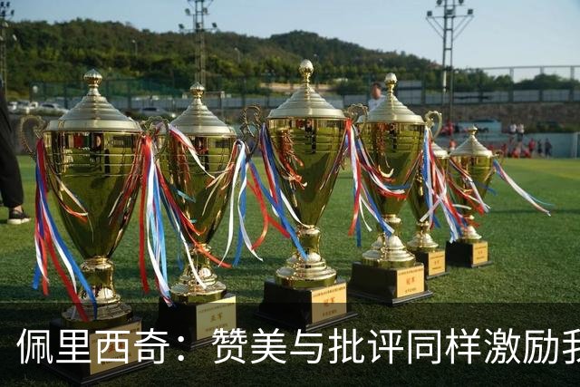 佩里西奇：赞美与批评同样激励我，我们必须明智避免受伤
